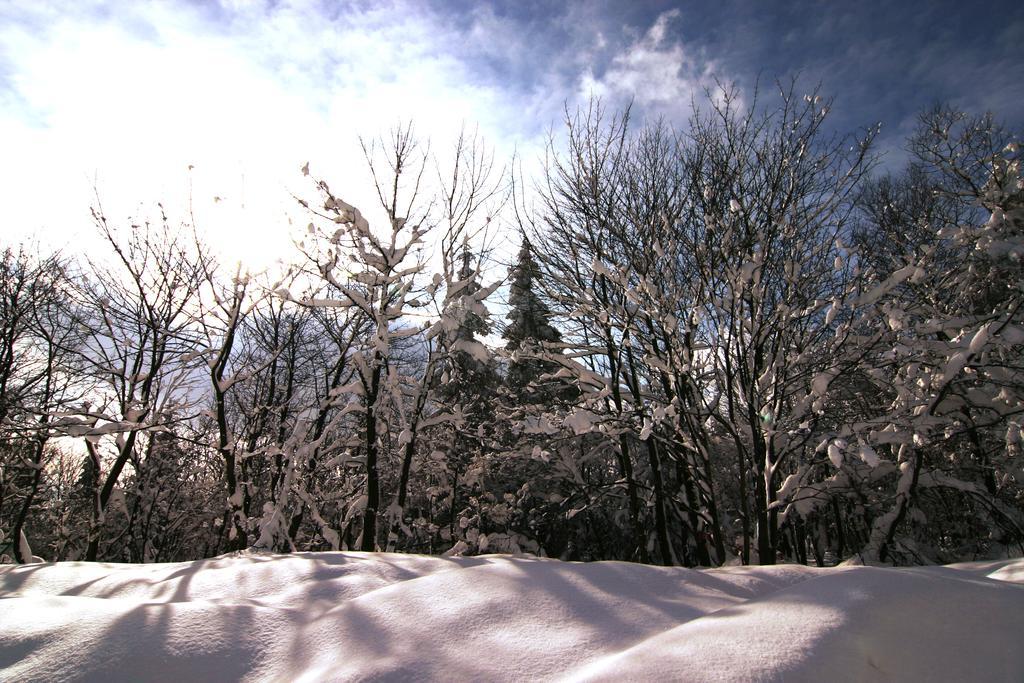 Pension Zueschener Bauernstuben Winterberg Zewnętrze zdjęcie