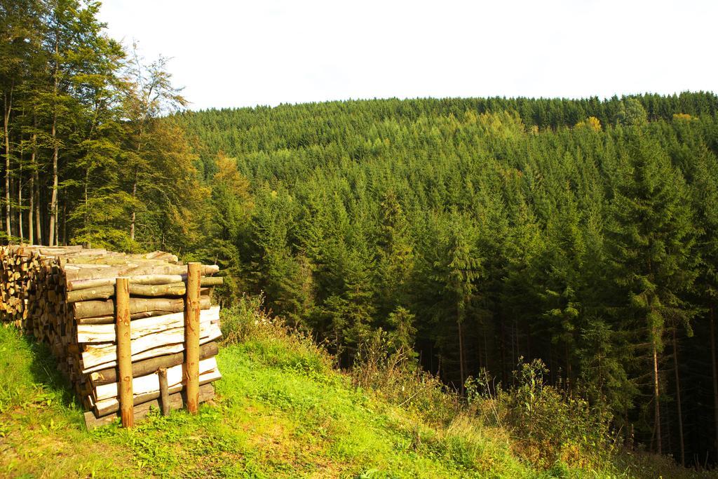 Pension Zueschener Bauernstuben Winterberg Zewnętrze zdjęcie